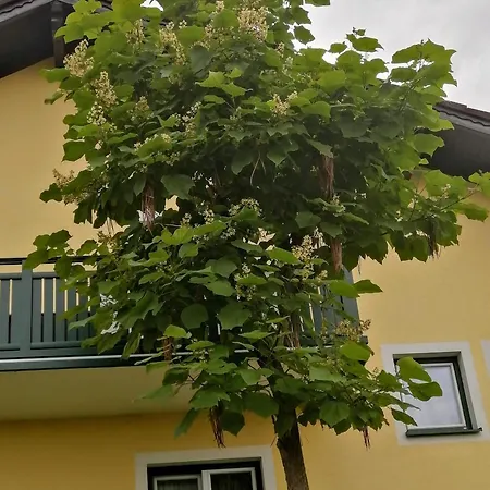 Am Stadtrand